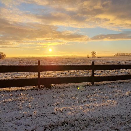 B&B Piebengastate Welsrijp Wjelsryp Buitenkant foto